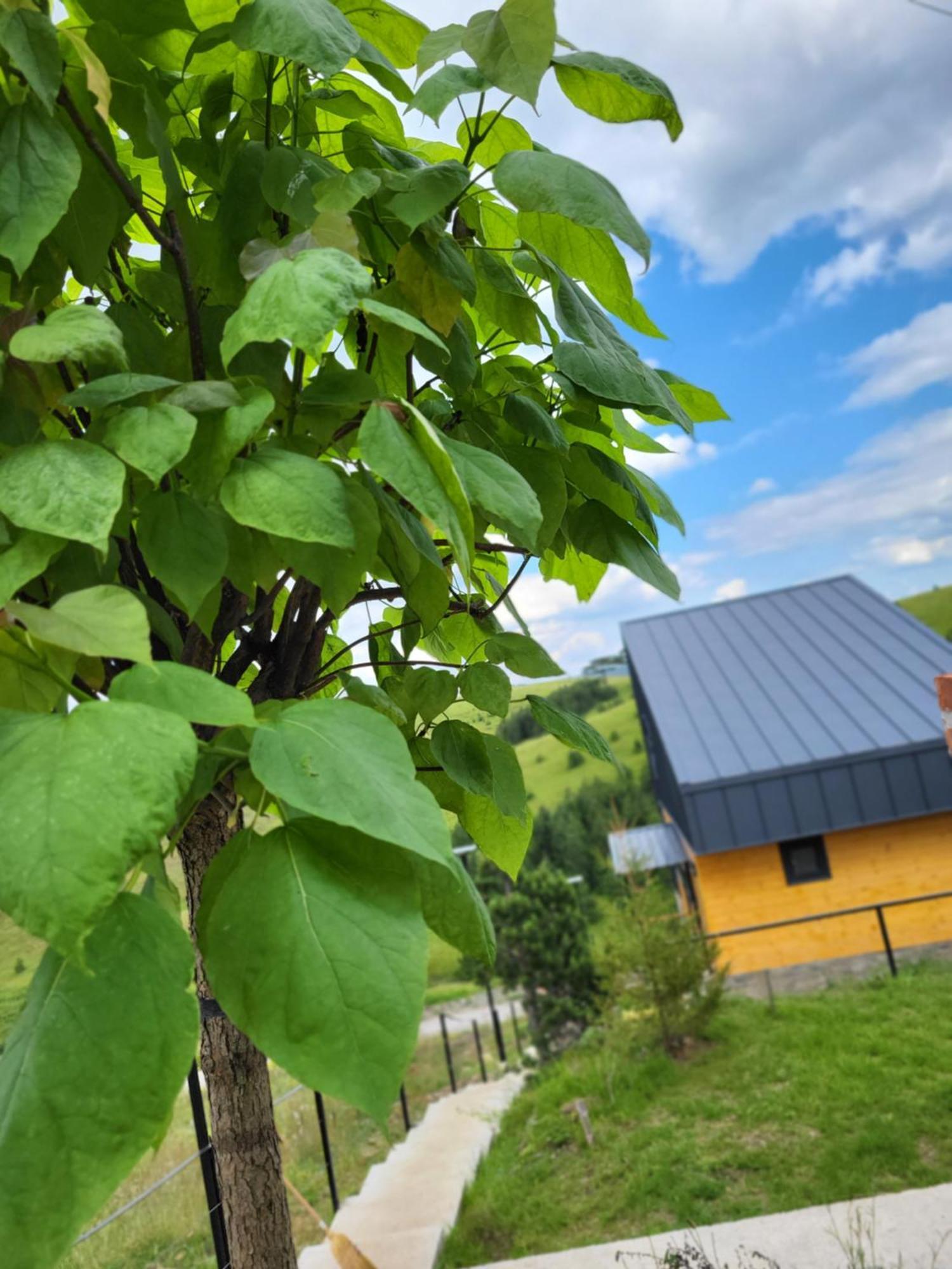 Villa Huut Zlatibor Esterno foto