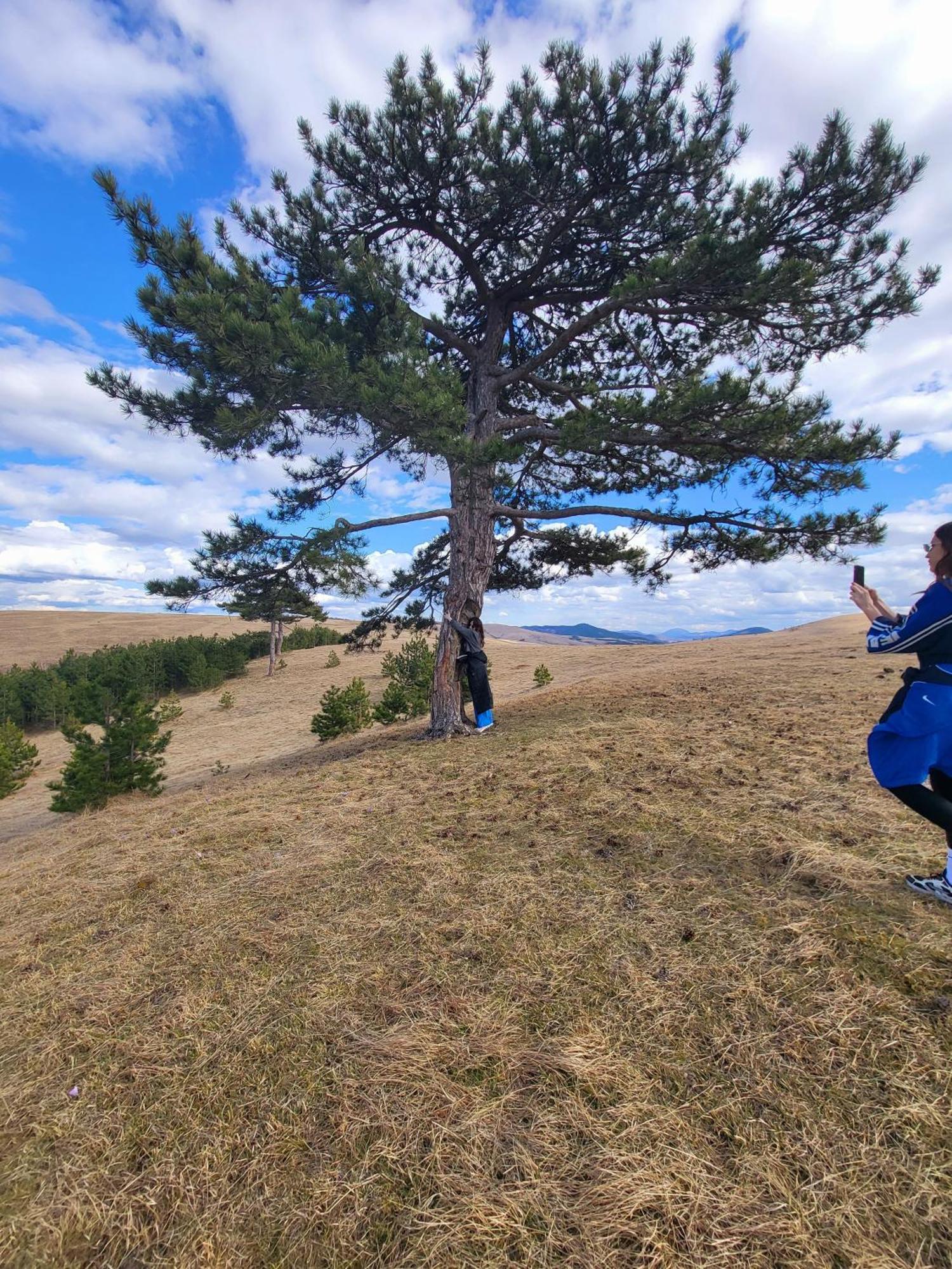 Villa Huut Zlatibor Esterno foto